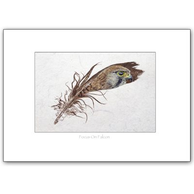 kestrel painted feather