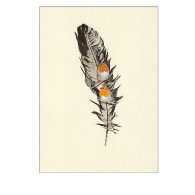 robin painted feather