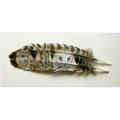 Painted feather three owls natural wild and free
