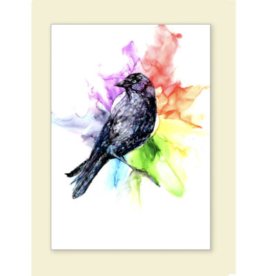 greetings card Jack of all colours jackdaw