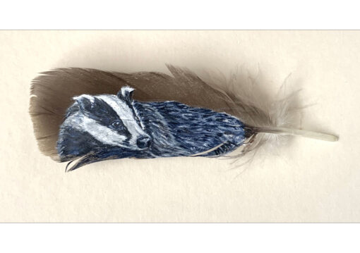 Real painted feather Badger