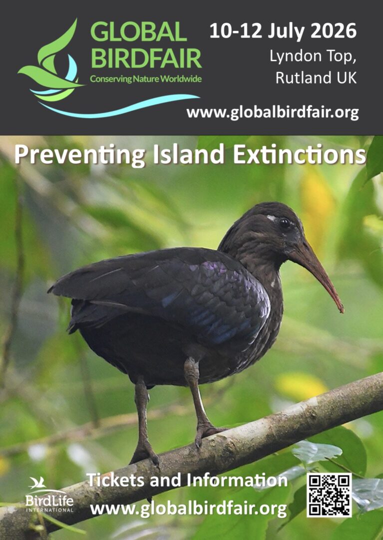 Poster for Global birdfair 2026 Poster for Global birdfair 2026