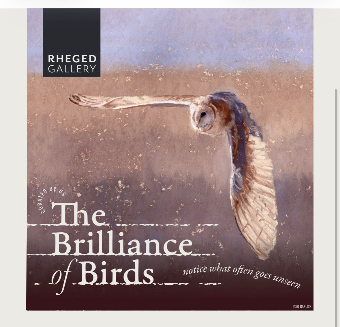 The Brilliance Of Birds Poster The Brilliance Of Birds Poster