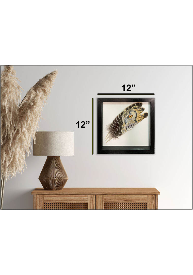 original painting barn owls softness and strength in situ