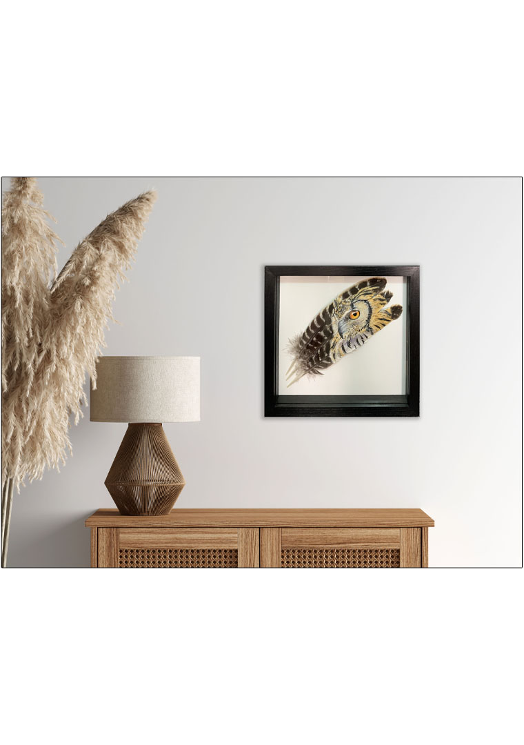 original painting barn owls softness and strength in situ
