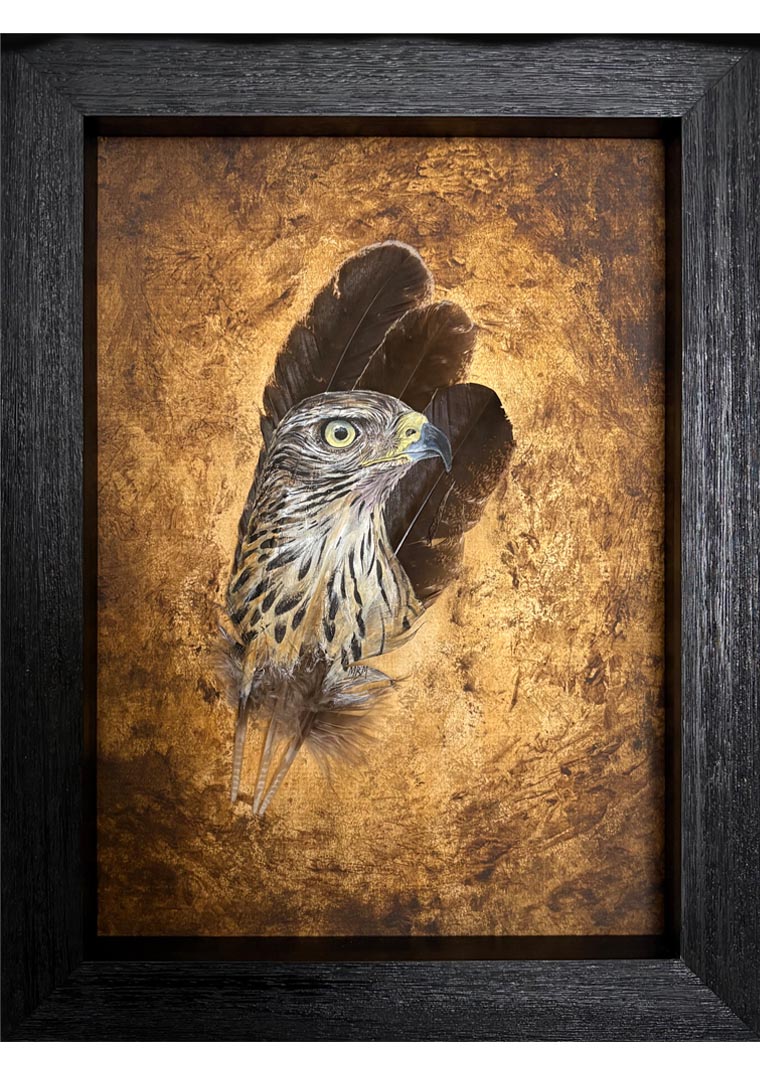 Original painting Goshawk Wild Presence