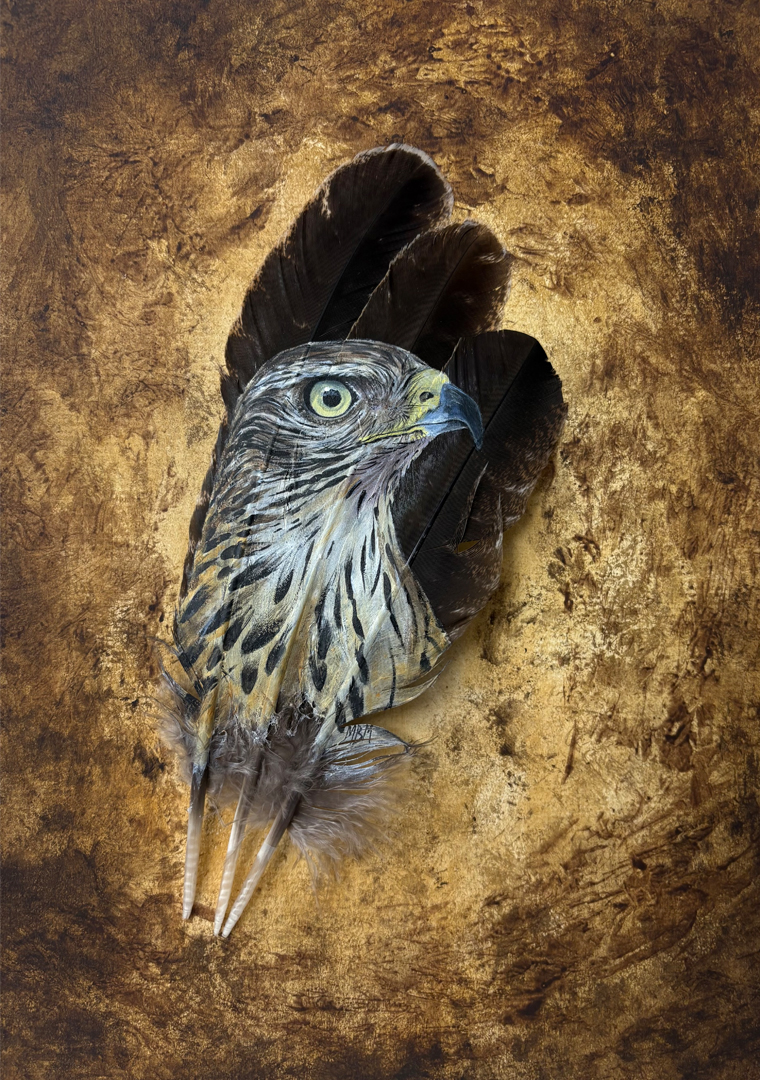Original painting Goshawk Wild Presence