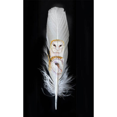 original painting barn owls the wisdom of waiting